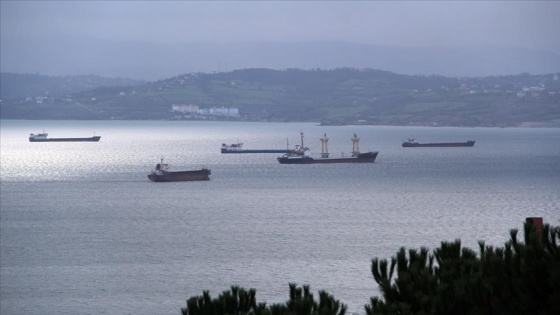 Karadeniz'deki fırtınadan kaçan gemiler Sinop doğal limanına sığındı