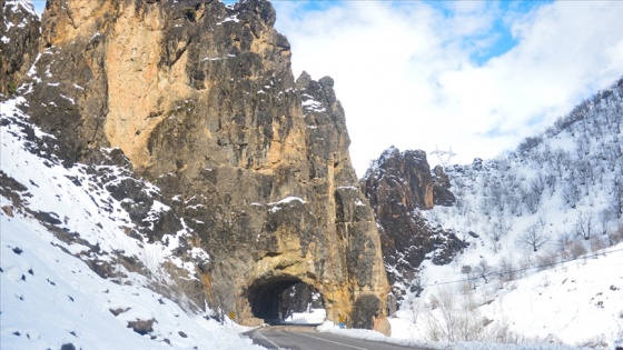 Karadeniz&#039;i Güneydoğu&#039;ya bağlayan kara yolunun çığ tünelleri sürücülere &#039;can simidi&#039; oldu