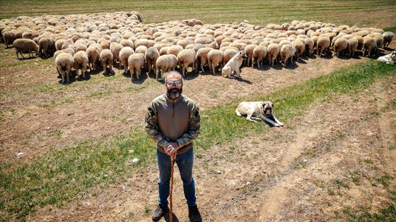 Kariyerlerini bırakıp kurdukları çiftlikte 800 hayvanlı sürünün sahibi oldular