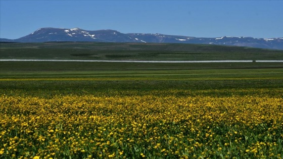 Kars el değmemiş doğasıyla göz kamaştırıyor