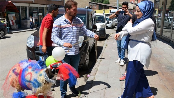 Kars'ta asırlık 'gelin koçu' geleneği yaşatılıyor