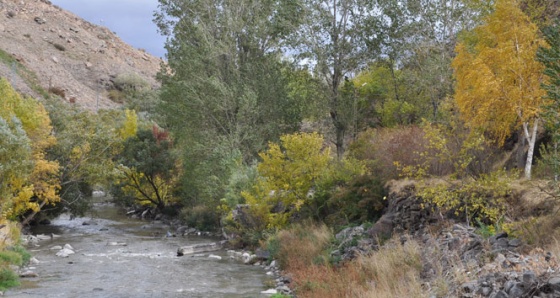 Kars’ta sonbaharda renk cümbüşü