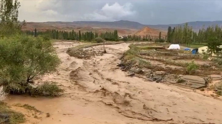 Kars'ta etkili olan sel bazı meyve bahçelerine zarar verdi