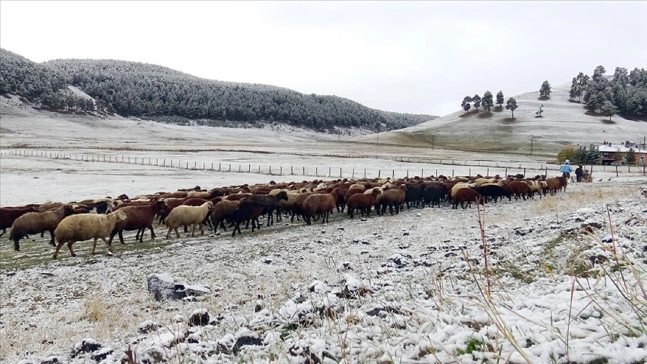 Kars'ta şehir merkezine mevsimin ilk karı yağdı