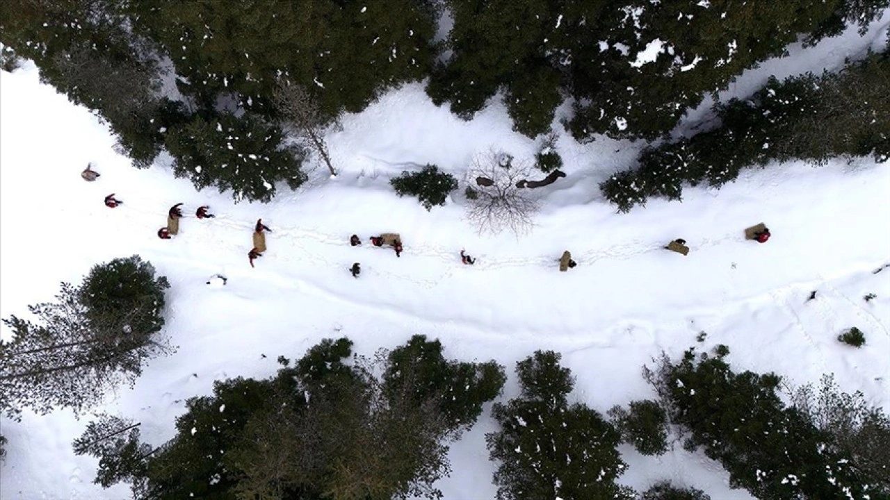 Kastamonu'da karlı yolları yaban hayvanları için aşıp doğaya yem bıraktılar