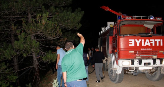 Kastamonu'da orman yangını