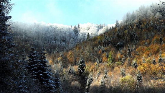 Kastamonu'da sonbaharın renk cümbüşü