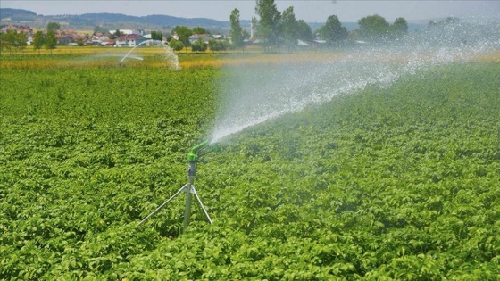 Kastamonu'da sulu tarımla ekonomiye 290 milyon liradan fazla katkı sağlanacak