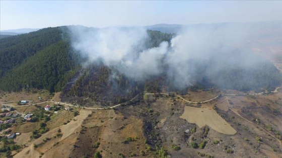 Kastamonu ve Sakarya'da çıkan orman yangınlarına müdahale ediliyor