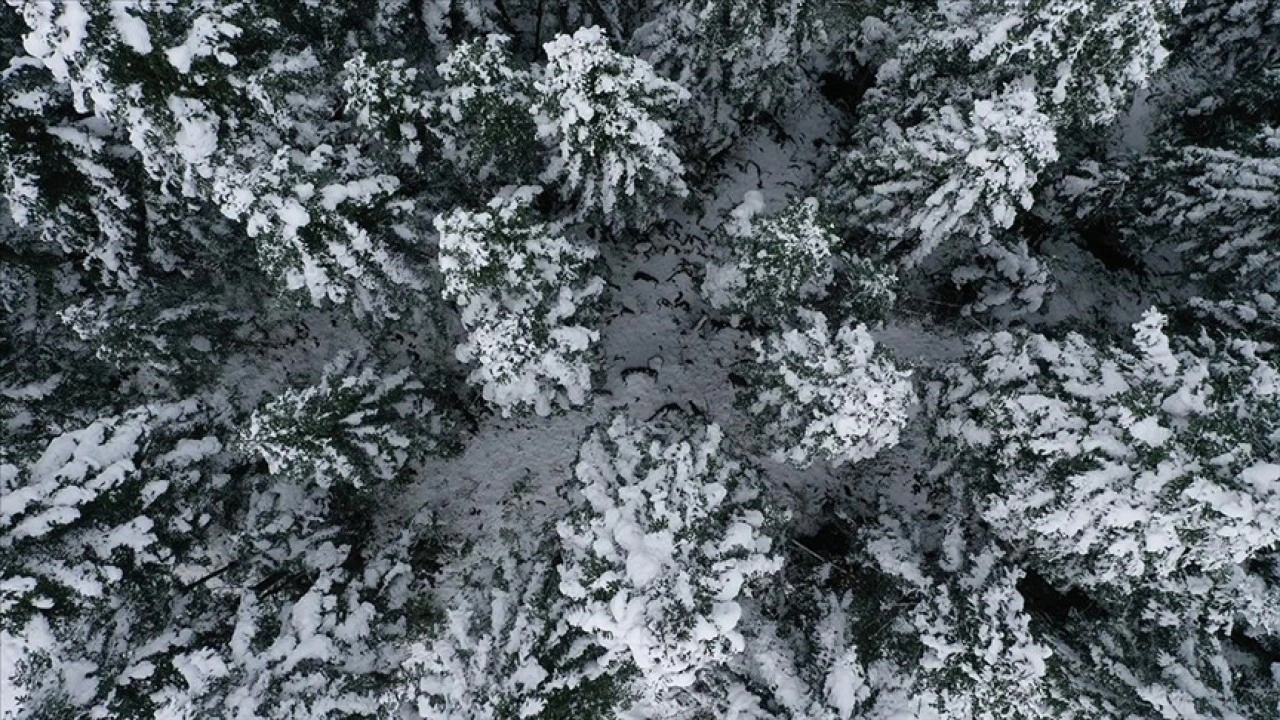 Kastamonu'da karla kaplanan ormanlar dron ile görüntülendi