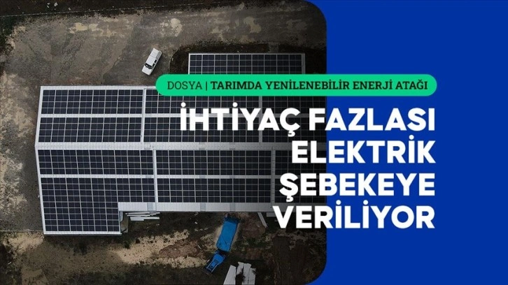 Kastamonu'da sarımsak fabrikasının enerjisi güneşten karşılanıyor