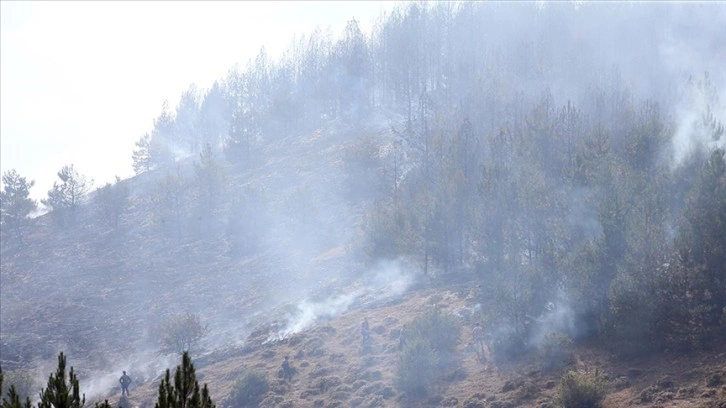 Kastamonu'daki orman yangınında yaklaşık 8 hektar alan zarar gördü