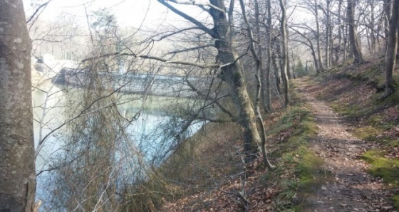 Kayıp gencin cesedi Belgrad Ormanı’nda bulundu