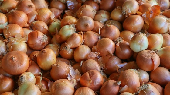 Kayısı ve kuru soğan üretimi 'güldürdü', sarımsak ve Antep fıstığı 'üzdü'