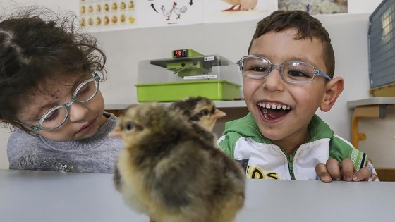 'Kaynaştırma eğitimi son derece yararlıdır'