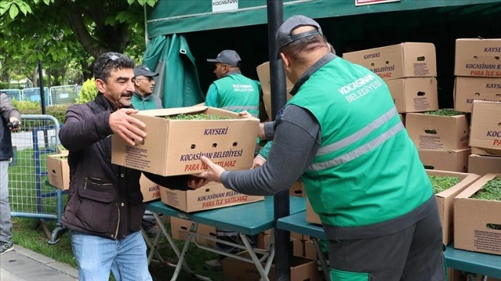 Kayseri'de ilçe belediyesi 500 bin organik fide dağıttı