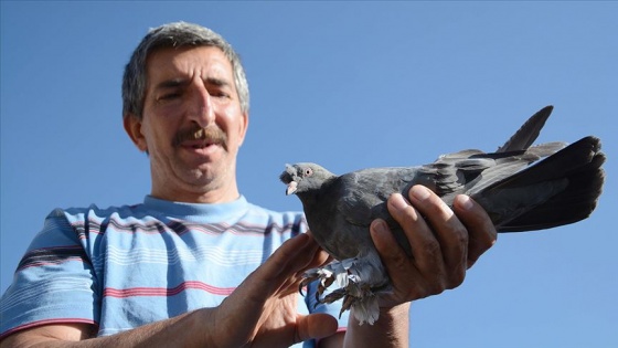 Kazalara rağmen kuş sevgisinden vazgeçmedi