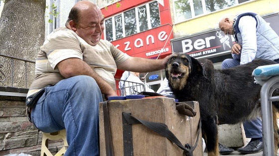 Kazancını sahiplendiği köpeğiyle paylaşıyor