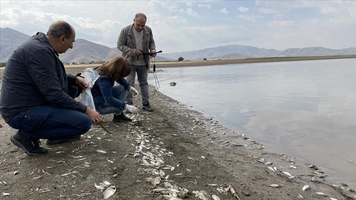 Keban Baraj gölündeki balık ölümleriyle ilgili inceleme başlatıldı