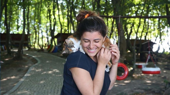 'Kedi Kasabası'nın ziyaretçileri bayram tatilinde arttı