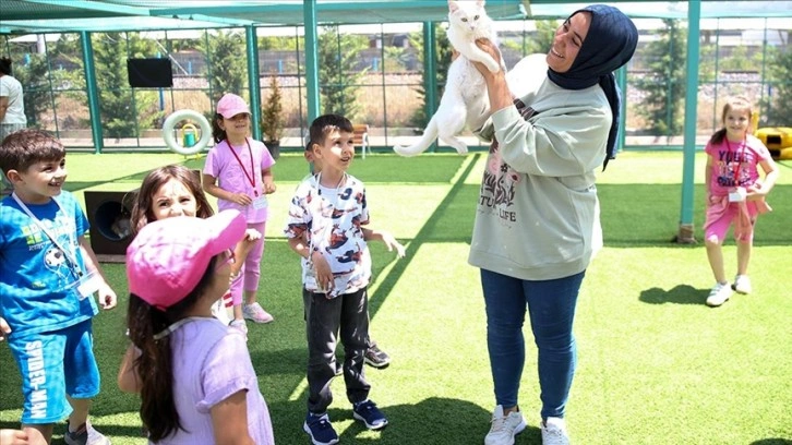 "Kedi Kasabası"nda hem korkularını yeniyorlar hem kedileri seviyorlar