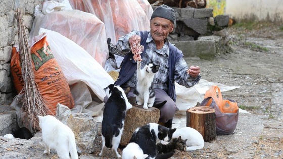 Kediler için her sabah balık avına gidiyor