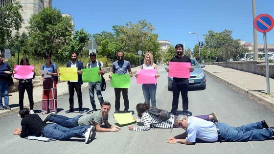 Kediler için yola yatıp 'kasis' oldular