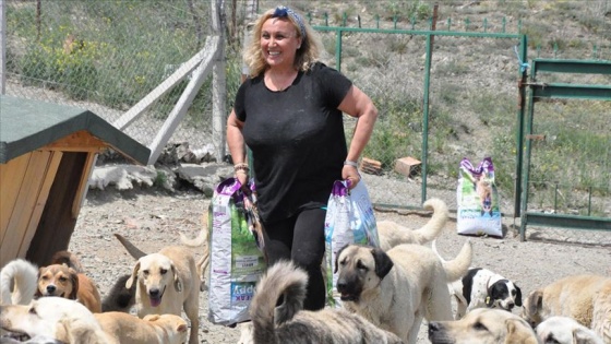 Kiraladığı araziye sokak köpekleri için barınak kurdu