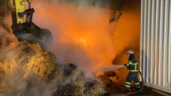 Kırklareli'nde hayvan çiftliğinde çıkan yangına müdahale ediliyor