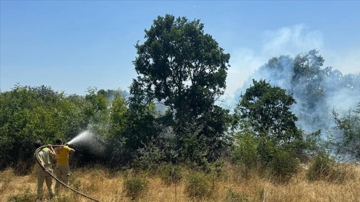Kırklareli’nde ağaçlık alana sıçrayan anız yangınına müdahale ediliyor