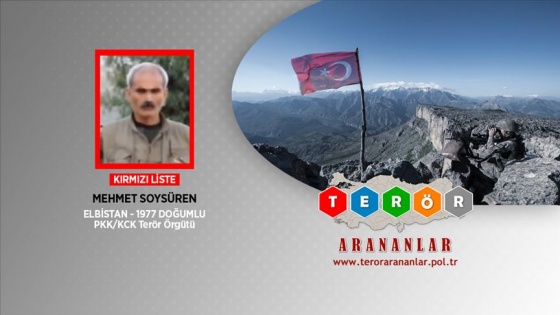 Kırmızı listedeki PKK&#039;lı Soysüren etkisiz hale getirildi