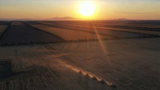 Kırsal kalkınma desteklerinde yatırımcılara projelerini tamamlama fırsatı