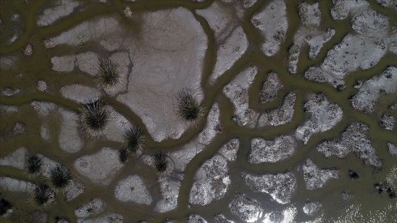 Kızılırmak Deltası'nda yağış azlığından kaynaklı kuraklık tehdidi