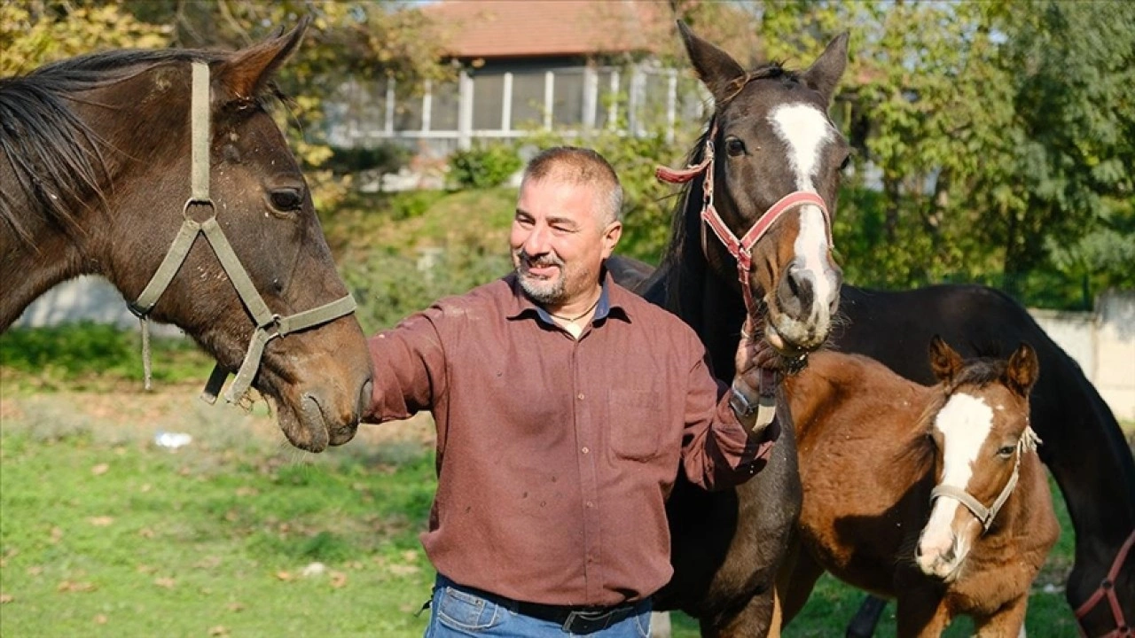 Kızlarına aldığı atla yetiştiriciliğe başladı, tayları hipodromlarda boy gösteriyor