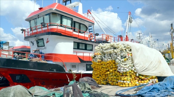 Kocaeli'de balıkçılar 'deniz salyası' nedeniyle sezonu kapattı