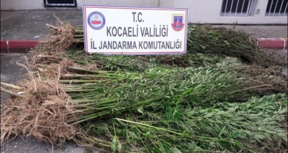 Kocaeli’nde 41 kilogram eroin ele geçirildi