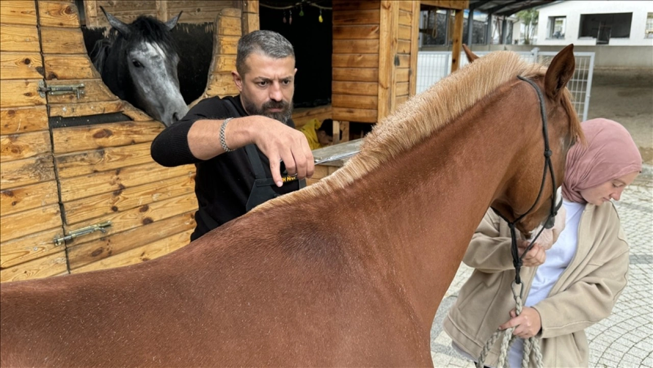 Kocaeli'de binek atların bakımına 