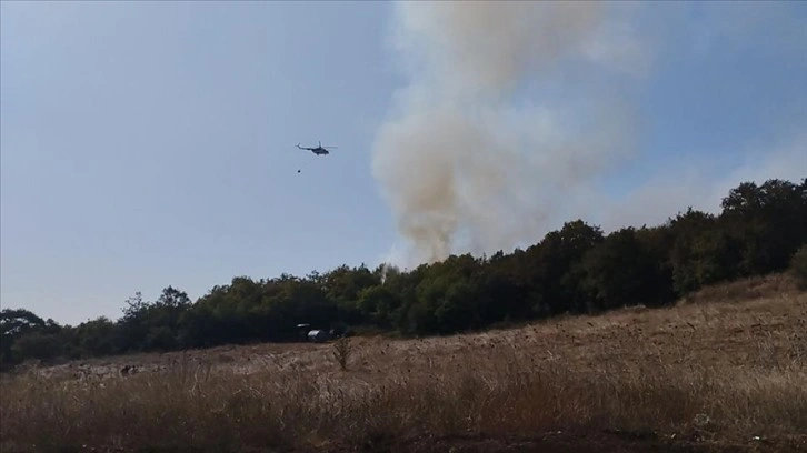 Kocaeli'de ormanlık alanda yangın çıktı