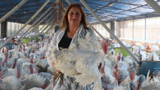 Kocasından devraldığı hindi çiftliğini üç kat büyüttü