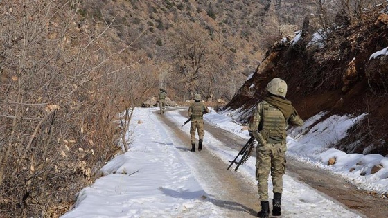 Komiser ve eşini şehit eden 'gri' kategorideki terörist öldürüldü