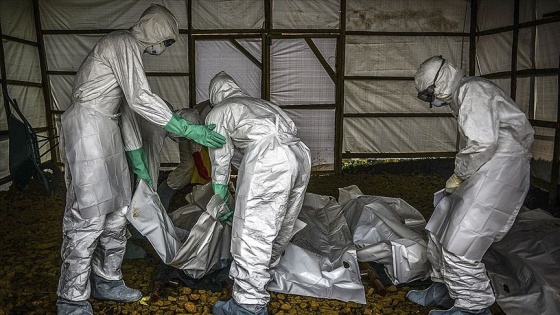 Kongo Demokratik Cumhuriyeti'nde Ebola'dan ölenlerin sayısı 1183'e çıktı