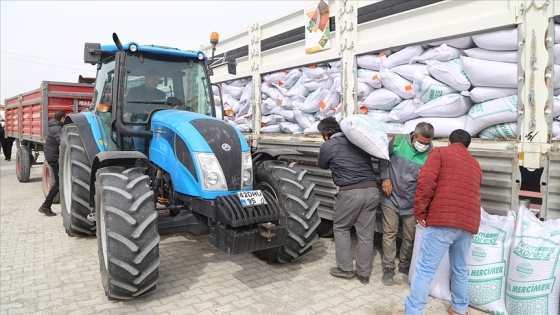 Konya'da 200 ton sertifikalı yerli mercimek tohumu çiftçilere dağıtıldı