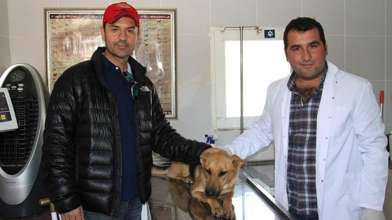 Köpeği sahiplenmek için 500 kilometre yol yaptı