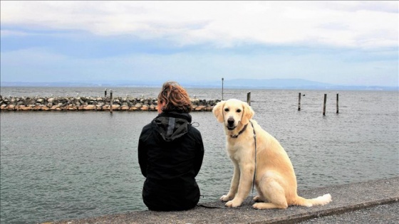 Köpeğin apartmandan tahliyesi Yargıtaydan döndü