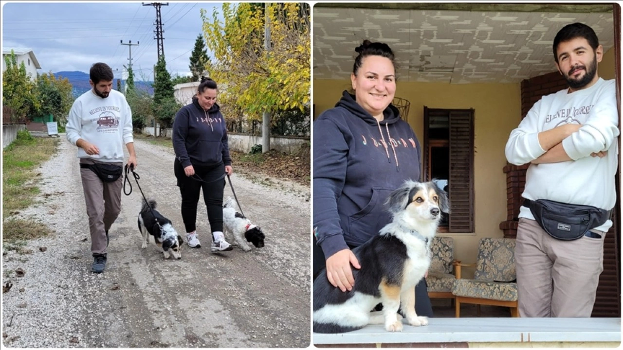 Köpeklere eğitimi yaşam alanlarında vererek daha başarılı sonuçlara ulaşıyor