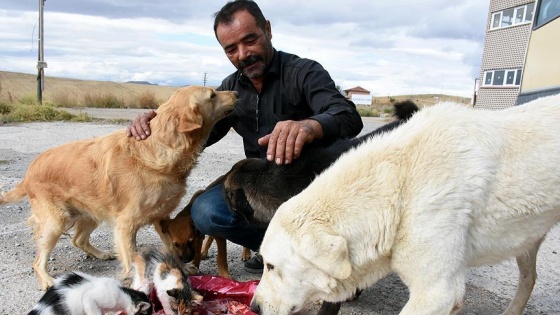 'Kostak'ı kaybetti, kendini sokak hayvanlarına adadı