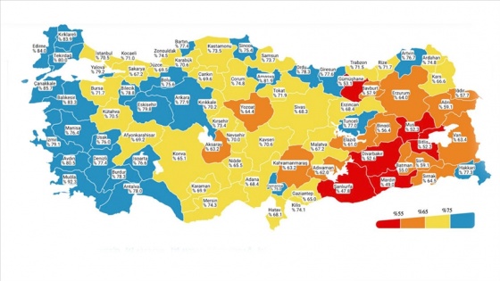 Kovid-19 risk haritasında düşük riskli il sayısı 28'e yükseldi