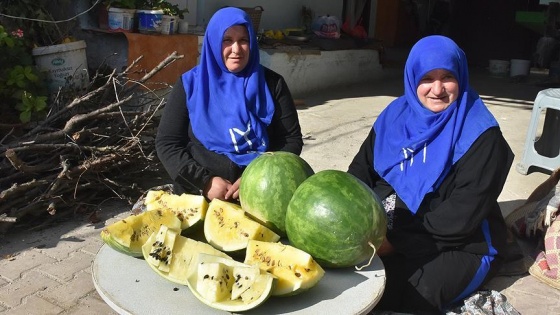 Köy kadınları 'kış karpuzu' için destek bekliyor