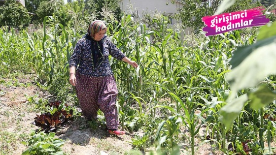 Köy hayatından dünyaya açıldı