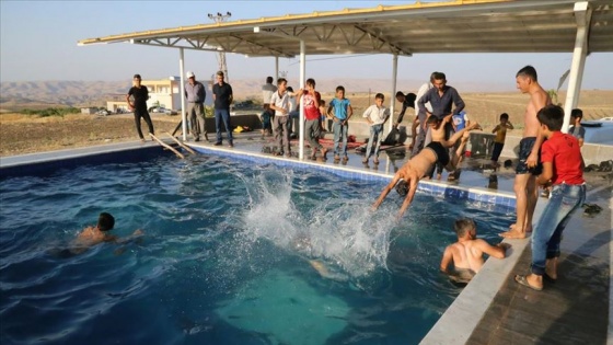 Köyde tatil yapıp, havuzda serinliyorlar